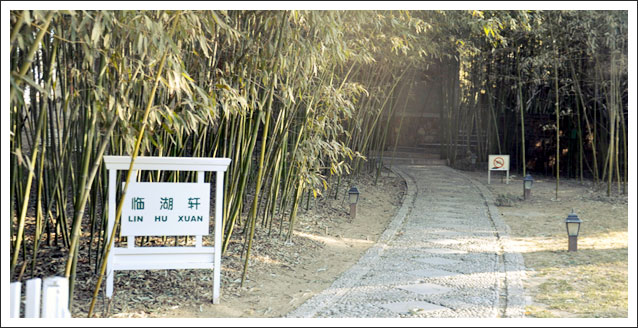 临湖轩
